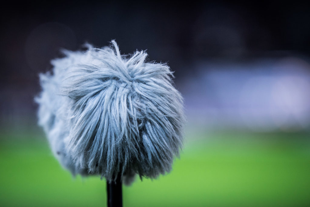 Ab Nach Manchester Bundesliga Insider Enthüllen Sesko Deal Ist Fix - dv12bwr